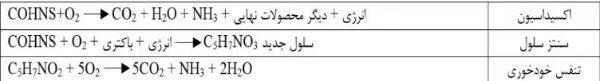 روابط تشکیل BOD