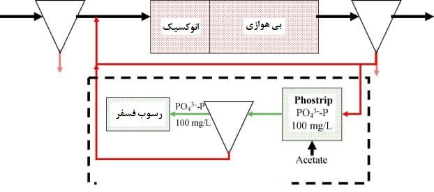 فوستریپ در فرایند حدف فسفر از فاضلاب