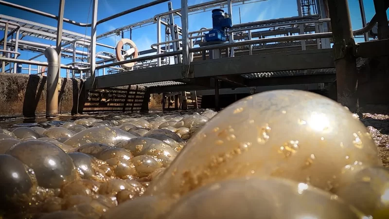 تصفیه فاضلاب صنایع داروسازی