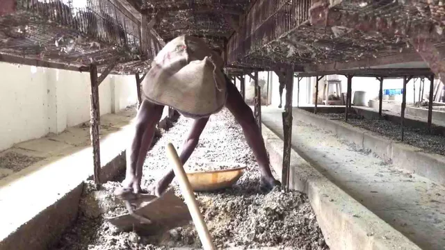 فاضلاب دامداری و طیور