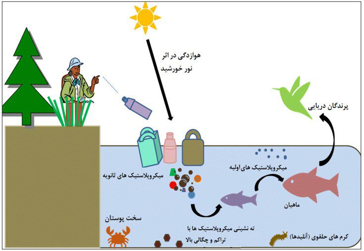 تصفیه آب و فاضلاب از میکرو پلاستیک ها